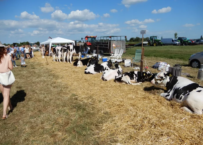 historie_herleeft_23